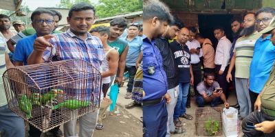 ক্রেতা সেজে টিয়াপাখি জব্দ, বিক্রেতাকে জরিমানা