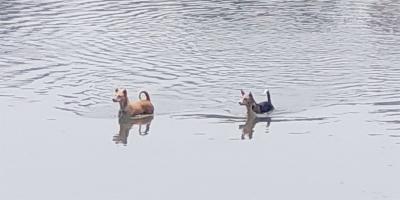 আবহাওয়ার পূর্বাভাস: তাপপ্রবাহ অব্যাহত থাকবে আজ যেসব অঞ্চলে