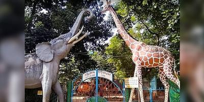 চট্টগ্রাম চিড়িয়াখানায় পিলার ভেঙে ৫ শ্রমিক আহত