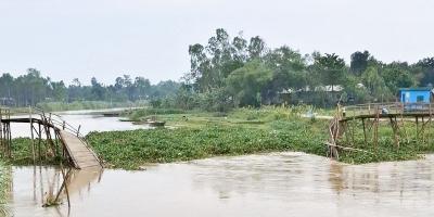 কুড়িগ্রামে কাঠের সেতু ভেঙে বিপাকে ১১ গ্রামের মানুষ