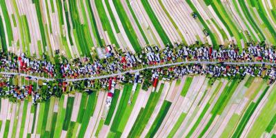 পাতার মতো গ্রাম, আছে একটি রাস্তা