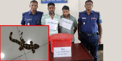 শার্শায় তক্ষকসহ ২ প্রতারক গ্রেপ্তার