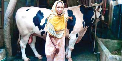 রাজাবাবুর দাম হাঁকানো হয়েছে ১৫ লাখ