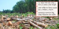 হুমকিতে জীববৈচিত্র্য, সচেতনতার উদ্যোগ নেই বন বিভাগের