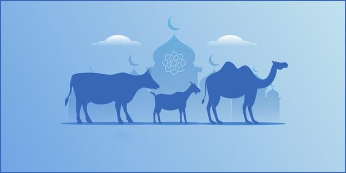কোরবানি কত প্রকার?