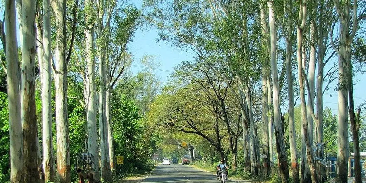 সম্ভাবনা ও পরিবেশগত সংকটের দ্বন্দ্ব