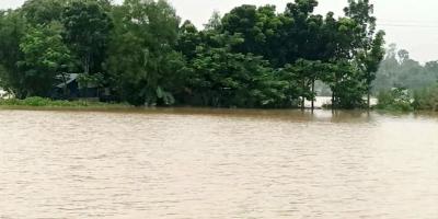 ময়মনসিংহে কমতে শুরু করেছে নদীর পানি