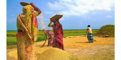 বোরোর নবান্ন উৎসব