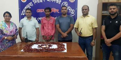 রাজধানীতে মরিচের ভেতর লুকানোসহ ২৮ হাজার পিস ইয়াবা জব্দ, গ্রেপ্তার ২