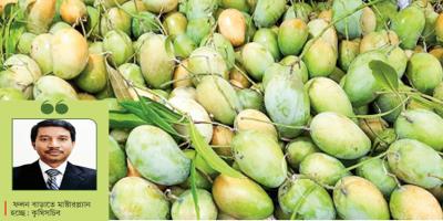 আম রপ্তানির সম্ভাবনা কাজে লাগানো যাচ্ছে না