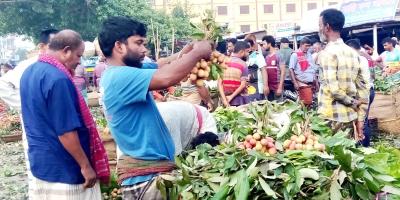 ঈশ্বরদীতে লিচুর ফলন বিপর্যয়, দাম চড়া