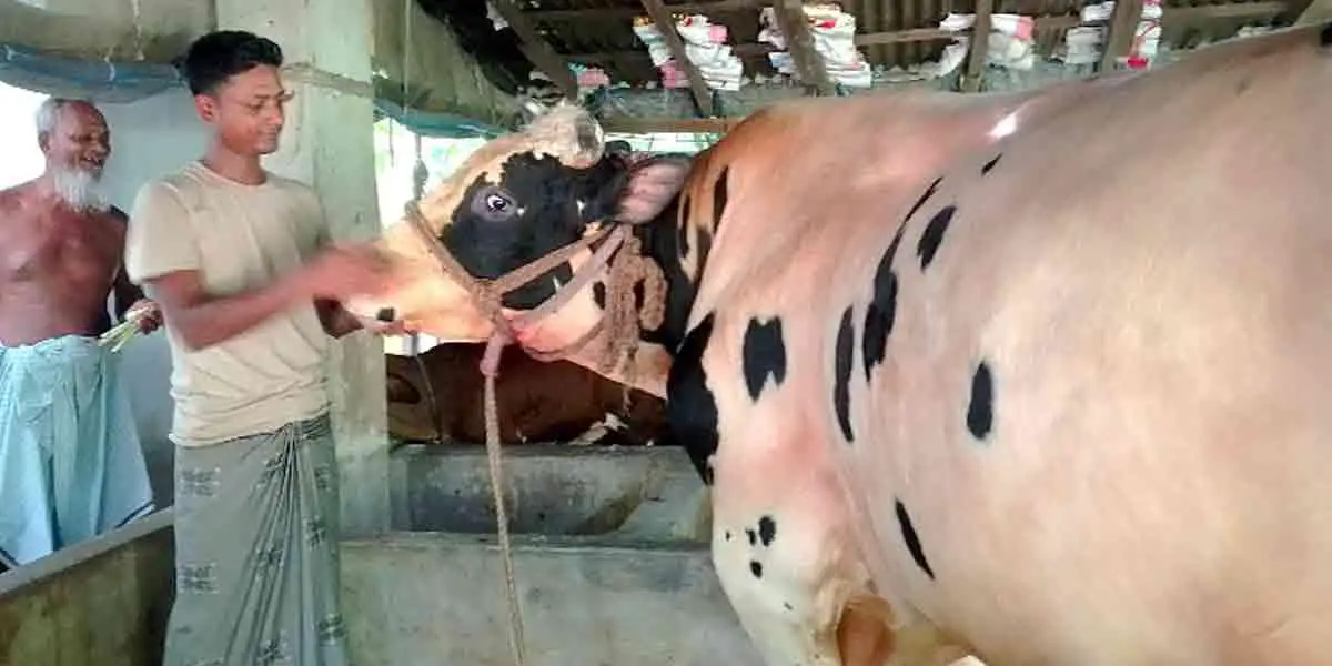 ‘ফনী-টু’র দাম ১৫ লাখ টাকা