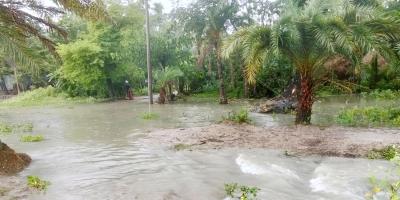 বরগুনার নিম্নাঞ্চল জোয়ার ও বৃষ্টির পানিতে প্লাবিত