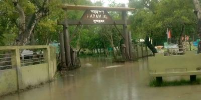 নিম্নচাপের প্রভাবে প্লাবিত সুন্দরবন, হরিণ উদ্ধার