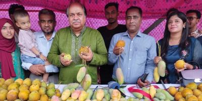 ঢাকায় শুরু হলো দেশীয় আমের মেলা