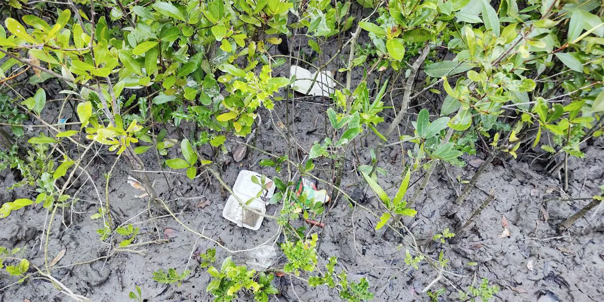 হুমকিতে সুন্দরবনের প্রাণবৈচিত্র্য