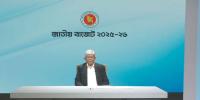 বিদ্যুতের মূল্য আপাতত বাড়ছে না: অর্থ উপদেষ্টা