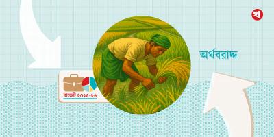 কৃষিখাতে ২৭ হাজার ২২৪ কোটি টাকার বরাদ্দ প্রস্তাব
