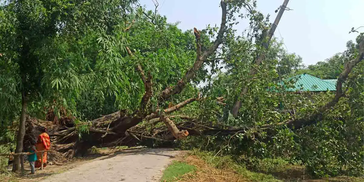 পঞ্চগড়ে ঝড়ে ব্যাপক ক্ষয়ক্ষতি, বিদ্যুৎ ও ইন্টারনেট সেবা বিপর্যস্ত