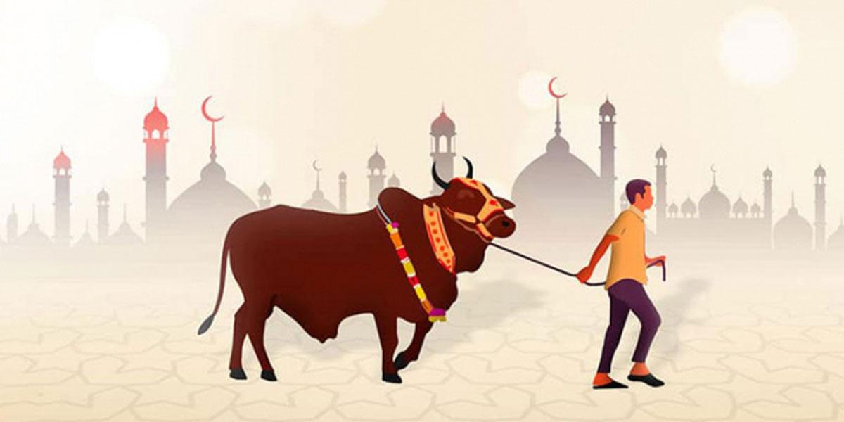 কোরবানির সামাজিকায়নে বাড়বে সোশ্যাল ফিটনেস