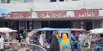 মুন্সীগঞ্জে আম পাড়তে গিয়ে কারখানা শ্রমিকের মৃত্যু