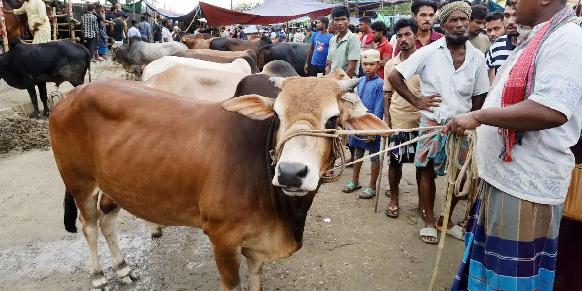 হাটে ক্রেতারা, উৎফুল্ল ব্যবসায়ীরা