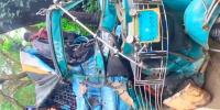 নবীনগরে বাসচাপায় অটোরিকশার ৩ আরোহী নিহত