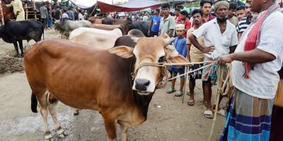হাটে ক্রেতারা, উৎফুল্ল ব্যবসায়ীরা