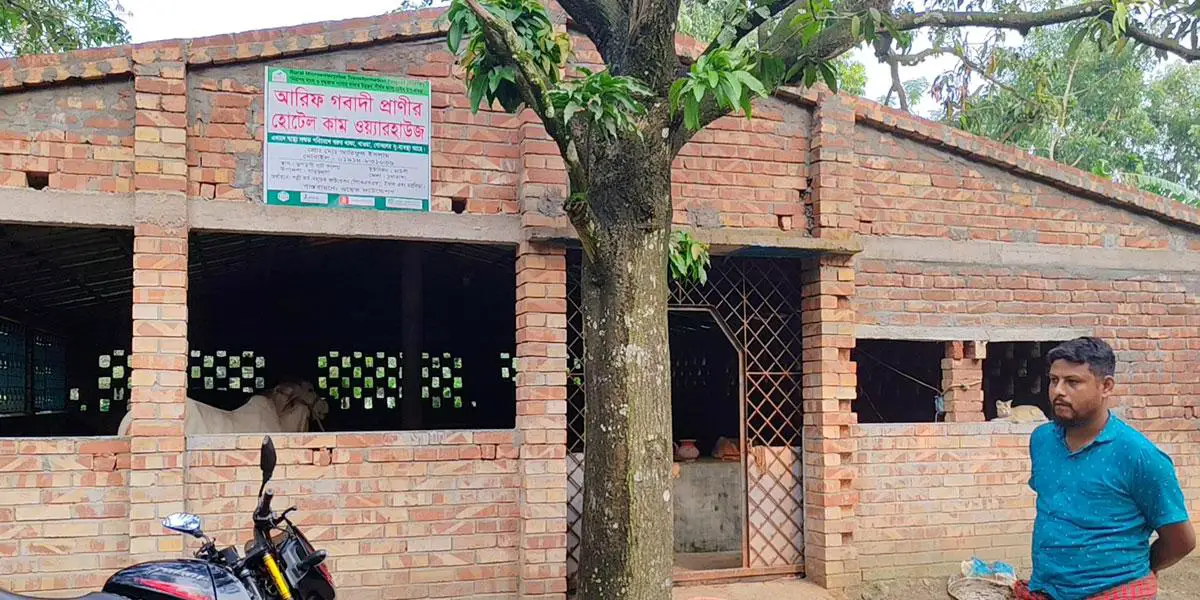 গরুর জন্য ‘আবাসিক হোটেল’ খাবার ‘বুফে’ পদ্ধতিতে