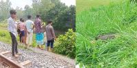 কালিহাতীতে ট্রেন ও বাসের ছাদ থেকে পড়ে ২ জন নিহত
