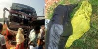 তারাকান্দায় বাস নিয়ন্ত্রণ হারিয়ে মসজিদে ধাক্কা, বাবা-ছেলে নিহত