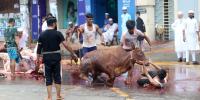 ৭৫ ওয়ার্ডের কোরবানির পশুর বর্জ্য অপসারনের দাবি ডিএসসিসির
