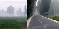 পঞ্চগড়ে হঠাৎ ঘন কুয়াশা, বিস্মিত স্থানীয়রা