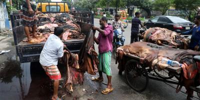 সিন্ডিকেট দৌরাত্ম্যে দাম মেলেনি চামড়ার