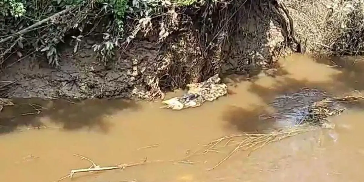 চট্টগ্রামে কোরবানির বর্জ্যে দূষণ, হুমকির মুখে হালদা
