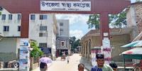 সালথায় নানাবাড়ি বেড়াতে এসে পানিতে ডুবে ভাই-বোনের মৃত্যু