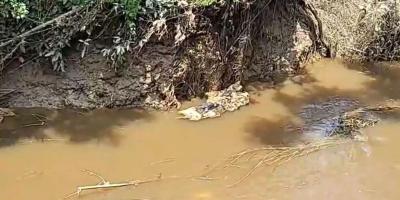 চট্টগ্রামে কোরবানির বর্জ্যে দূষণ, হুমকির মুখে হালদা