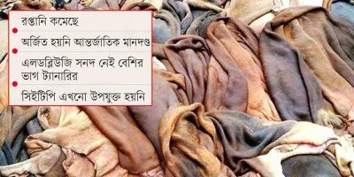 সংকটে দেশের চামড়া খাত