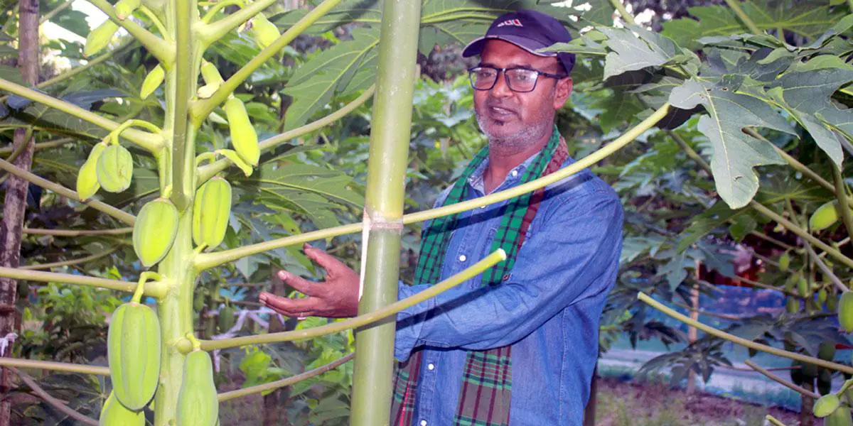 ইউটিউব দেখে কৃষিকাজ, বছরে আয় ১০ লাখ টাকা