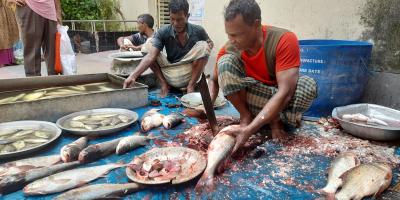 রাজশাহীতে সবজিতে স্বস্তি, মাছের দাম চড়া
