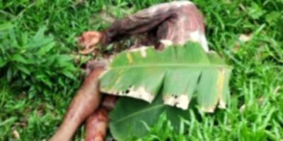 নরসিংদীতে কলাবাগান থেকে অজ্ঞাত যুবকের রক্তাক্ত মরদেহ উদ্ধার
