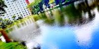 ইডেন কলেজের পুকুরে ডুবে ছাত্রীর মৃত্যু