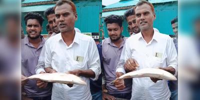 এক ইলিশ বিক্রি হলো ৭ হাজার টাকায়