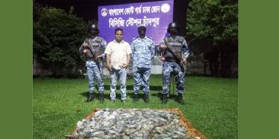 চাঁদপুরে সাড়ে ৪ মণ জেলিযুক্ত চিংড়ি জব্দ