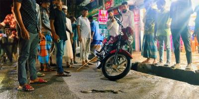 মোটরসাইকেলে বিষধর সাপ, অল্পের জন্য রক্ষা