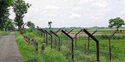 সাপাহার সীমান্তে টিকটক করতে গিয়ে বিএসএফের হাতে আটক ২