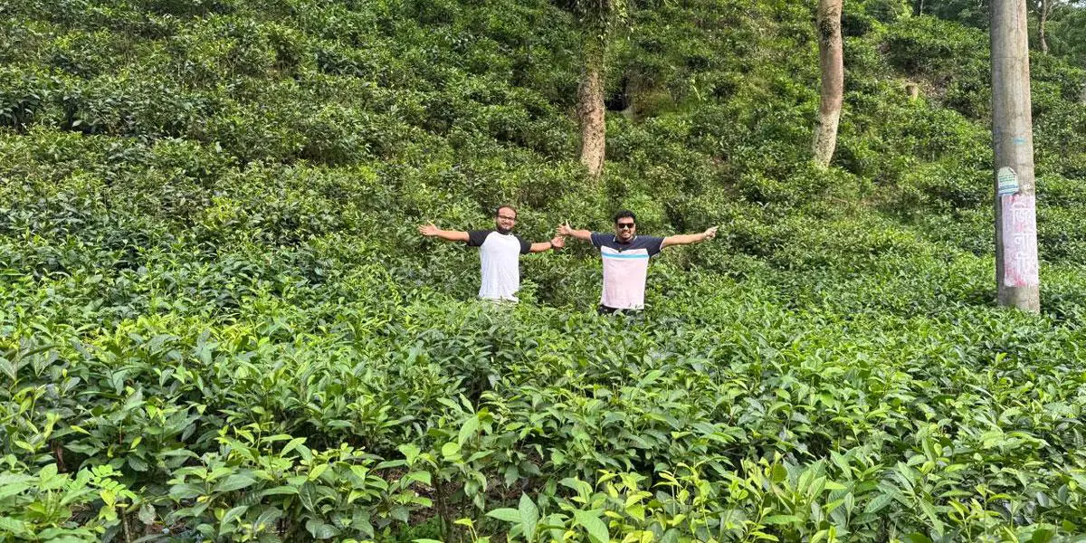 ছুঁয়ে এলাম ‘দুটি পাতা একটি কুঁড়ি’