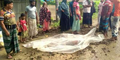 শিবগঞ্জে ট্রাকচাপায় পথচারী নিহত