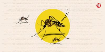 ডেঙ্গুতে একজনের মৃত্যু, আক্রান্ত ৩৫২