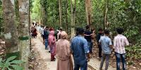 লাউয়াছড়ায় পর্যটকদের উচ্ছ্বাসে বন্যপ্রাণীদের অস্বস্তি
